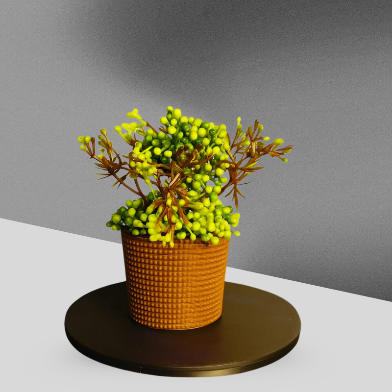 Globular Scabiosa Bush