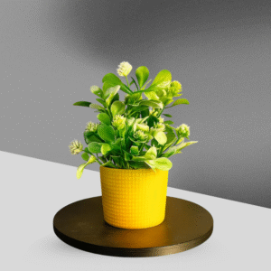 YellowHue Greenery Pot